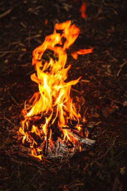 Ormandaki küçük şenlik ateşi dikey yakın çekim görüntüsü.