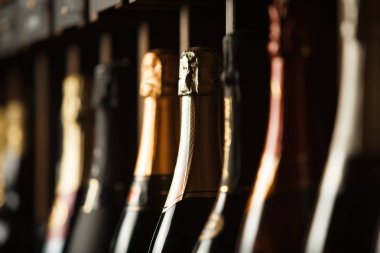 Raflarda elit şampanya ile yeraltı mahzeni, yatay fotoğraf yakın.