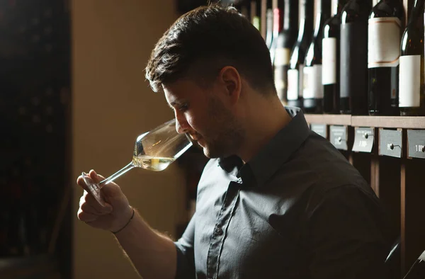Sommelier stands in cellar and smells wine in glass