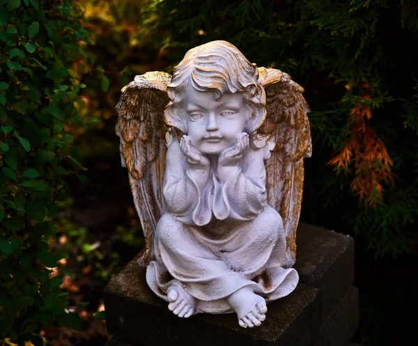 Statue Enfant Ange Paisible Dans Jardin Gros Plan Chérubin Pierre — Photo