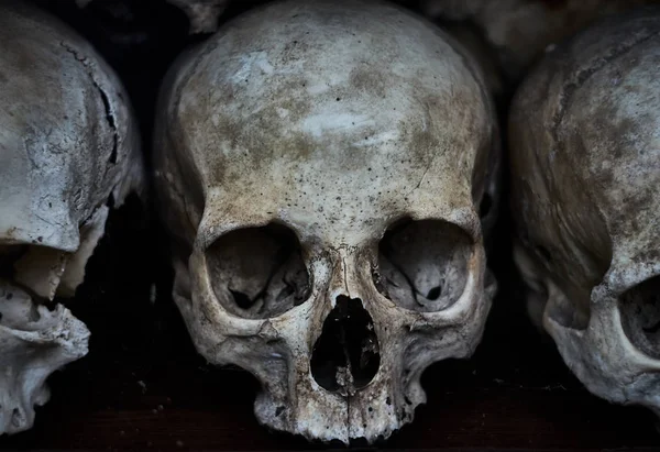 Eski insan kafatası yakın çekim. Karanlık kasvetli fotoğraf.