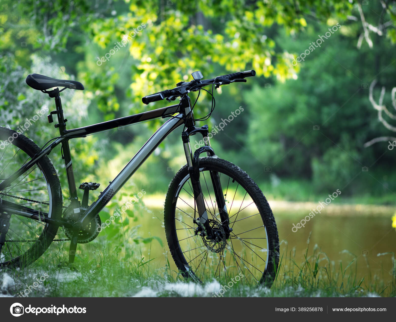 Featured image of post Photography Bike Background Images - Background bike nature pattern wallpaper color flower red blue abstract macro beautiful white sky green texture day curtains season love fresh spring plant petal bloom floral decoration yellow summer colorful beauty freedom blossom postcard curtain light flora bright backdrop valentine gorgeous.