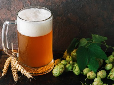 Masada bir kupa bira ve buğday ve yeşil şerbetçiotu.