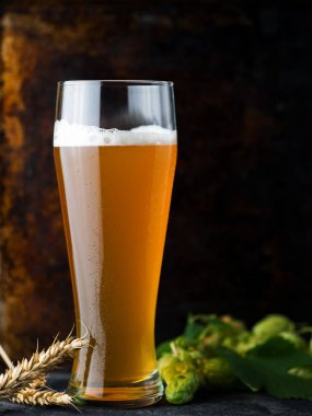 Masada uzun bir bardak buğday birası