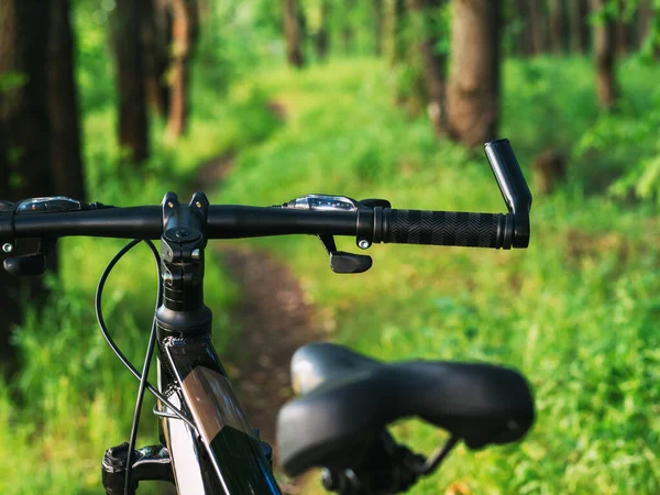아름다운 위에서 자전거를 활동적 자전거타기의 — 스톡 사진