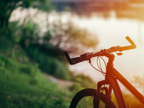 Cykeln Skogen Vid Floden Aktiv Livsstil Och Cykling Sommar Kopia — Stockfoto