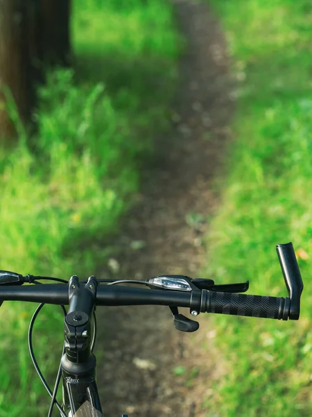 Kolo Krásné Lesní Cestě Koncept Aktivního Životního Stylu Cyklistiky — Stock fotografie