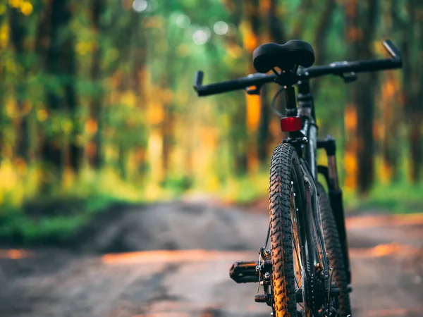 Cykla Vacker Skogsväg Begreppet Aktiv Livsstil Och Cykling — Stockfoto
