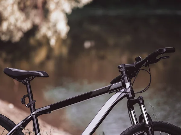 Närbild Cykeln Bakgrunden Naturparken — Stockfoto