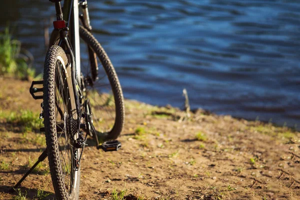 Bicicleta Está Bosque Junto Rio Estilo Vida Ativo Ciclismo Espaço — Fotografia de Stock