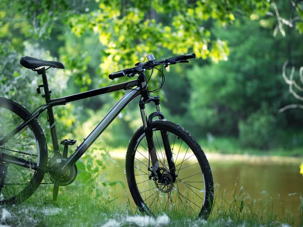 공원의 배경에 자전거의 — 스톡 사진