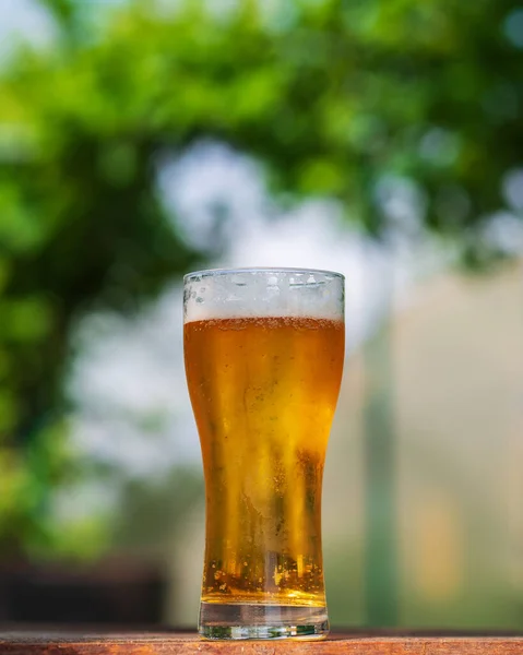 Vaso Refrescante Cerveza Helada Ligera Verano Calor — Foto de Stock