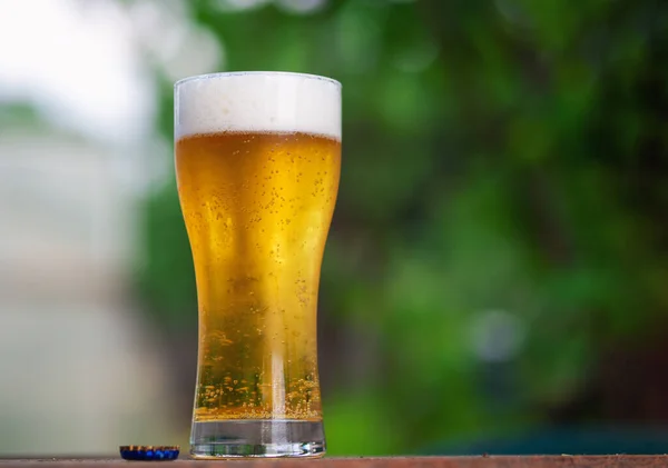 Vaso Cerveza Fría Verano Aire Libre Vacaciones Campo — Foto de Stock