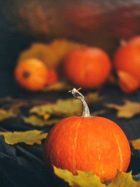 Koyu ahşap arka planda birkaç portakal kabağı ve sonbahar yaprakları. Şükran Günü