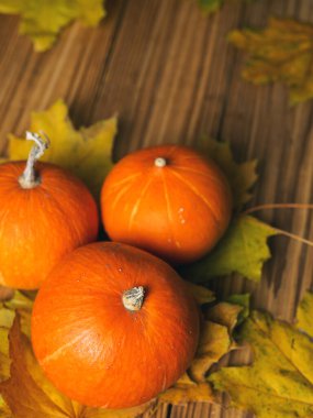 Şükran Günü için arka plan. Koyu ahşap arka planda sonbahar yapraklarında güzel turuncu balkabakları. Boşluğu kopyala