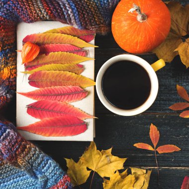 Bir kupa sıcak kahve ve renkli yaprakları olan koyu ahşap bir masanın üzerinde bir kitap.
