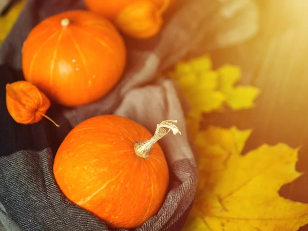 Kontekst Święta Dziękczynienia Piękne Pomarańczowe Dynie Jesienią Liści Ciemnym Drewnianym — Zdjęcie stockowe