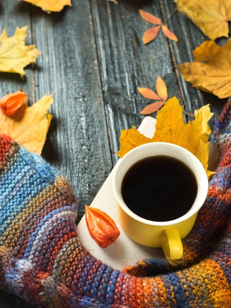 秋の快適さ カラフルな秋の葉を持つカラフルなスカーフでホットコーヒーのマグカップ木製の背景コピースペース — ストック写真