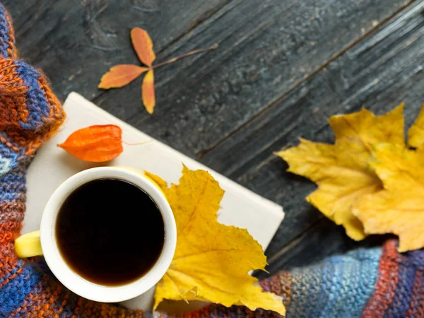 Autumn Comfort Mug Hot Coffee Colorful Scarf Colorful Autumn Leaves — Stock Photo, Image