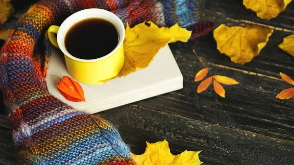 Autumn Comfort Mug Hot Coffee Colorful Scarf Colorful Autumn Leaves — Stock Photo, Image