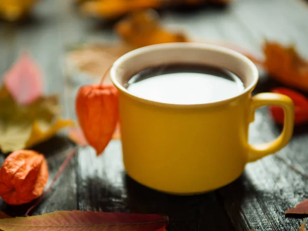 Koffiemok Omgeven Door Herfst Kleurrijke Bladeren Een Donkere Achtergrond — Stockfoto