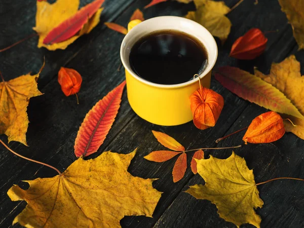 Coffee Mug Surrounded Autumn Colorful Leaves Dark Background — Stock Photo, Image