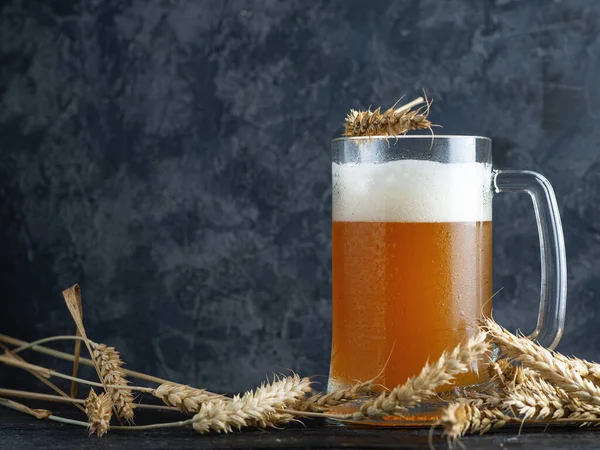 Bardaki beton duvarın arka planında filtrelenmemiş cam bardak bira ve fotokopi alanı.