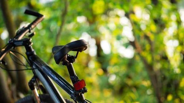 Mountain Bike Bosque Atardecer Lugar Para Texto Estilo Vida Activo — Foto de Stock