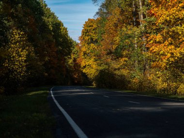 Sonbahar renkli asfalt yolu ormanla çevrili.