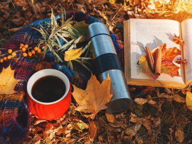 Sokakta kazak giymiş bir fincan sıcak aromatik kahve. Eğlence ya da doğada piknik. Sonbahar yapraklarında eski bir kitap, örülmüş bir eşarp.
