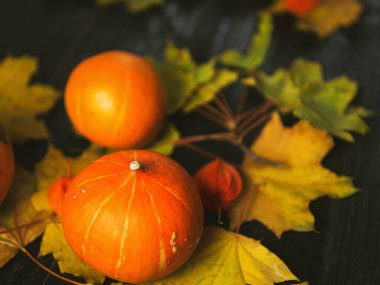 Şükran Günü arkaplanı, portakal kabakları ve koyu ahşap arka planda sonbahar yaprakları.