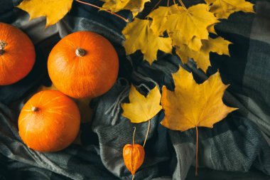 Şükran Günü için sonbahar kompozisyonu. Sonbahar yapraklı turuncu balkabakları koyu ahşap arka planda kopya alanı ile