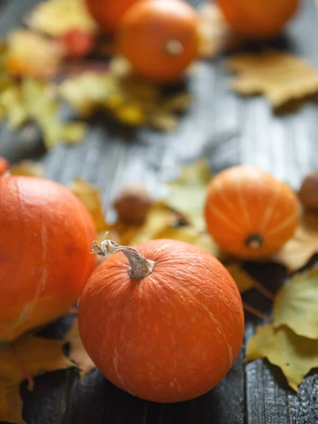 Thanksgiving background, orange pumpkins and autumn leaves on dark wooden background