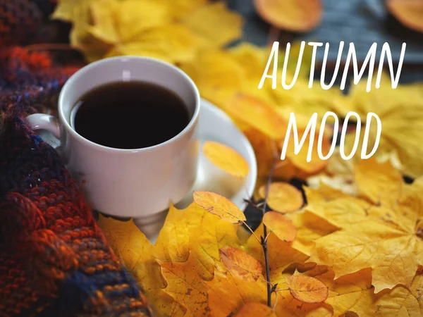 Eine Tasse Kaffee Auf Dem Tisch Mit Leuchtend Gelben Herbst — Stockfoto