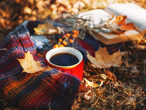 Autumn Mood Warm Colorful Scarf Cup Hot Coffee Book Grass — Stock Photo, Image