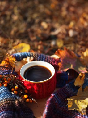 Sonbahar yeşilliklerinde bir kupa sıcak kahve renkli bir eşarp ve eski bir kitapla. Doğadaki doğal rahatlama. Sonbahar yaşam tarzı