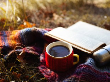 Sonbahar yeşilliklerinde bir kupa sıcak kahve renkli bir eşarp ve eski bir kitapla. Doğadaki doğal rahatlama. Sonbahar yaşam tarzı