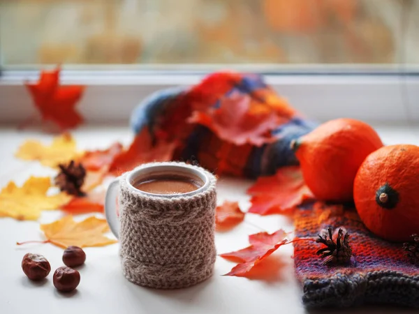 秋のメープルの葉と暖かいスカーフを備えた窓のニットの創造的なジャケットに熱いコーヒーのマグカップ 寒い季節の家庭の快適さ — ストック写真