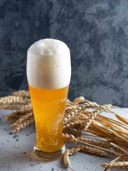 Copo Cerveja Trigo Com Boné Espuma — Fotografia de Stock