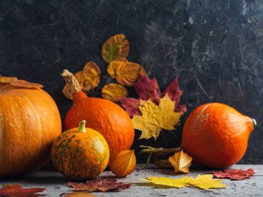 Şükran Günü geçmişi. Masada farklı balkabakları var.