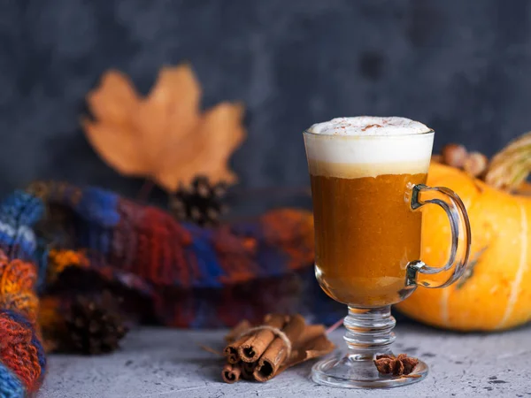 Caffè Alla Zucca Autunno Latte Alla Cannella Fatto Casa — Foto Stock