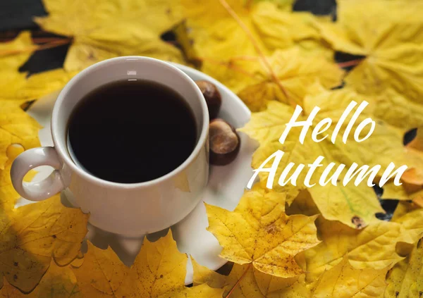 White Cup Hot Coffee Autumn Colorful Foliage — Stock Photo, Image