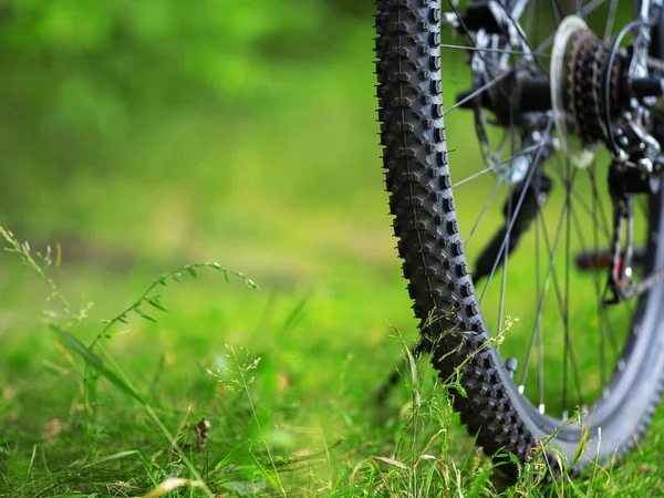 자전거의 타이어의 산악자전거의 뒷바퀴 — 스톡 사진