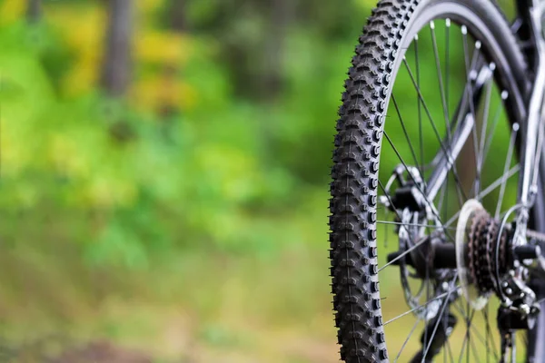 Primer Plano Del Neumático Barro Para Bicicletas Rueda Trasera Bicicleta — Foto de Stock