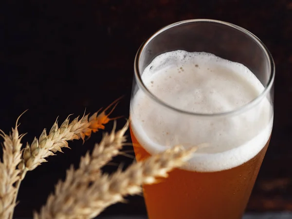 Traditionellt Glas Ofiltrerat Veteöl Rostig Mörk Bakgrund — Stockfoto