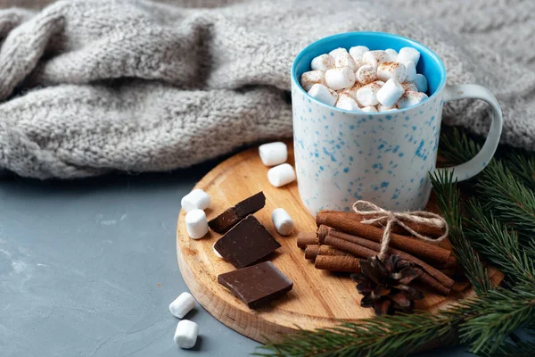 Hot Chocolate Autumn Winter Drink Marshmallows Cinnamon — Stock Photo, Image