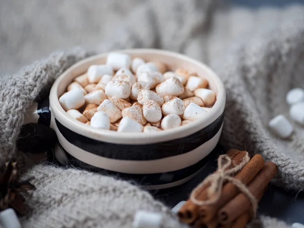 Hot Chocolate Autumn Winter Drink Marshmallows Cinnamon — Stock Photo, Image