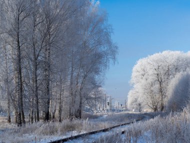 Sabahın erken saatlerinde soğuk kış manzarası