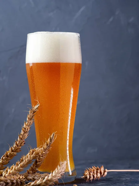 Tall Glass Unfiltered Wheat Beer Ears Wheat Gray Background — Stock Photo, Image