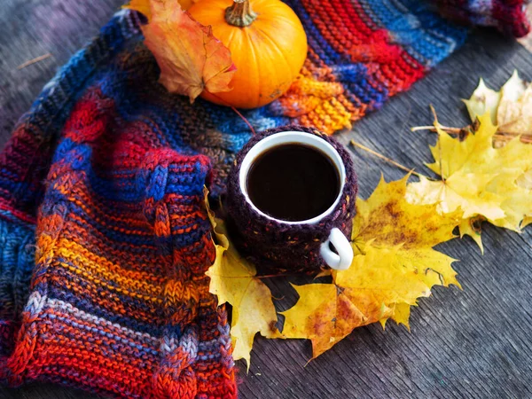 Mug Autumn Fragrant Hot Coffee Wooden Table Park Colorful Knitted — Stock Photo, Image